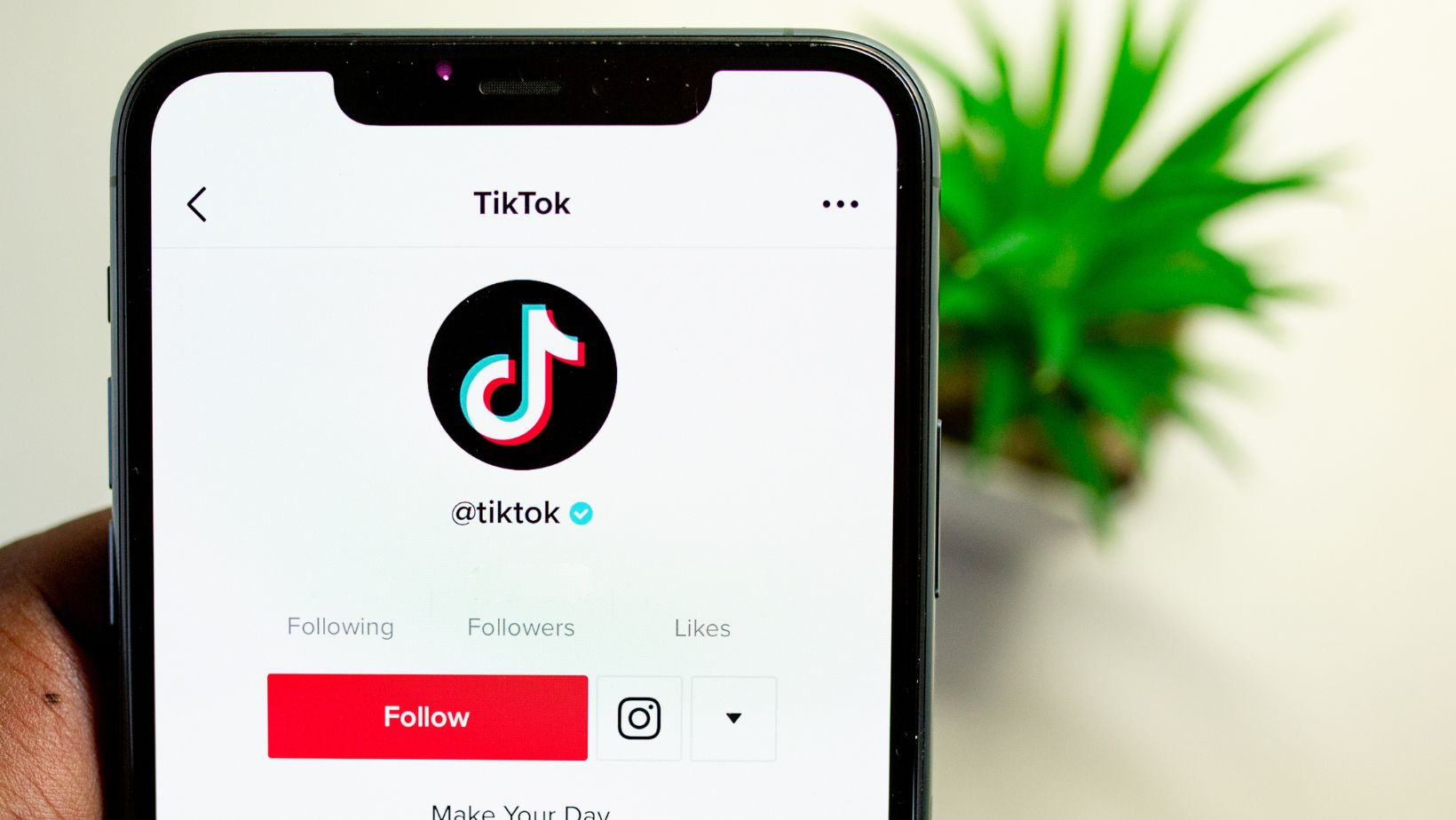 vipto.de tiktok likes