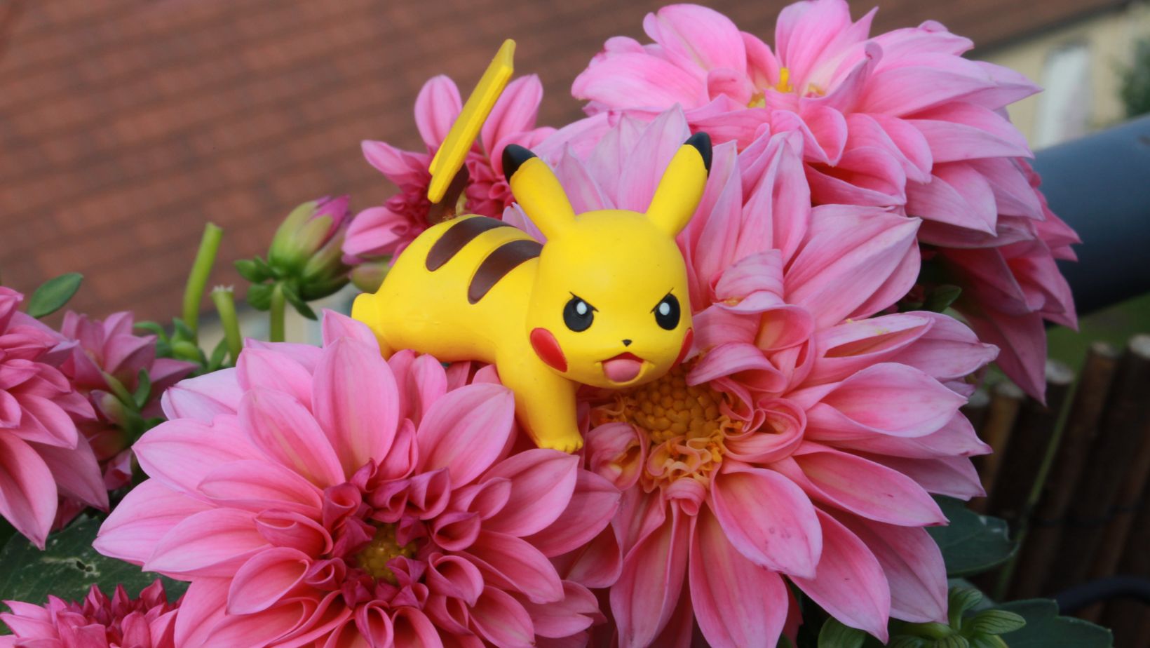 Fun with the Pikachizer Translator: Pikachu Language Made Easy - SimCookie