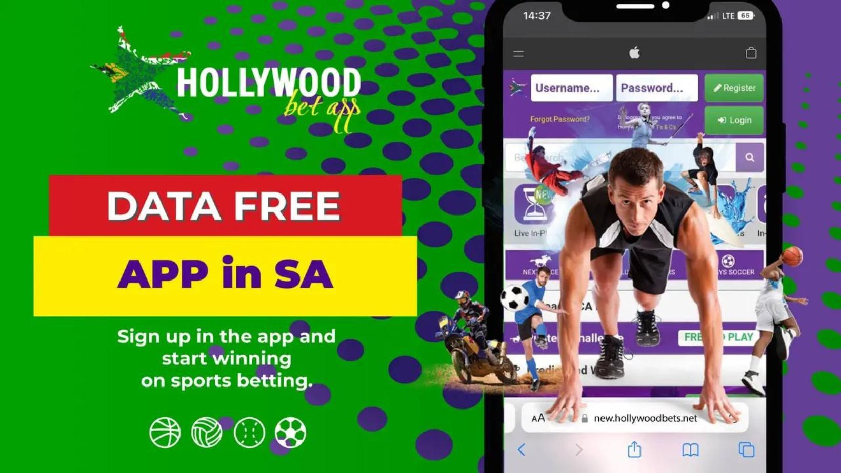 M Hollywoodbets Net