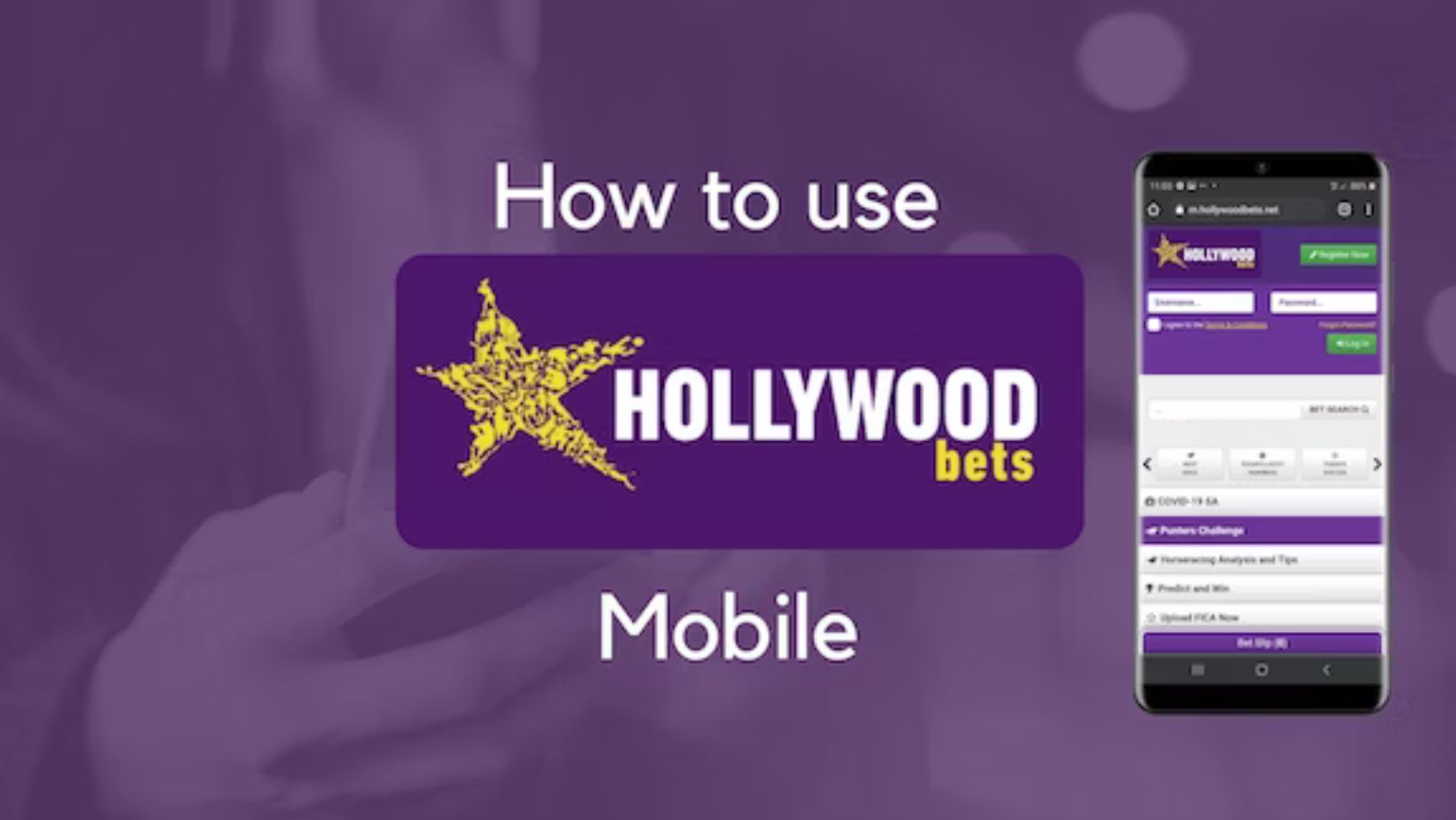 M Hollywoodbets Net