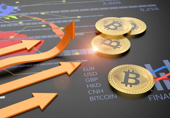 Bitcoin Casino Guide for Beginners 2026